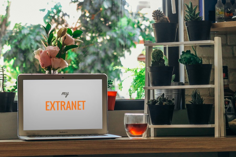 Cosa è un'extranet