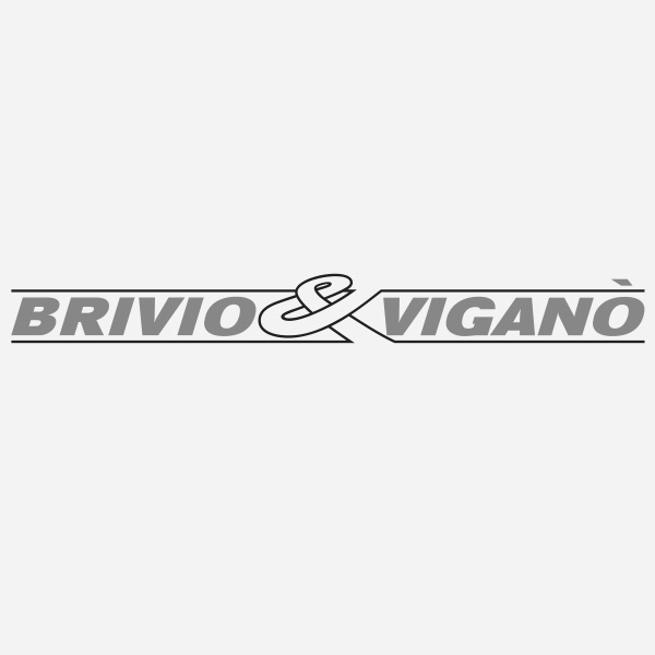 Brivio & Viganò